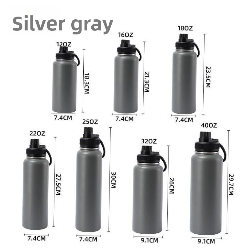 Insulated Stainless Steel Water Bottle with Straw