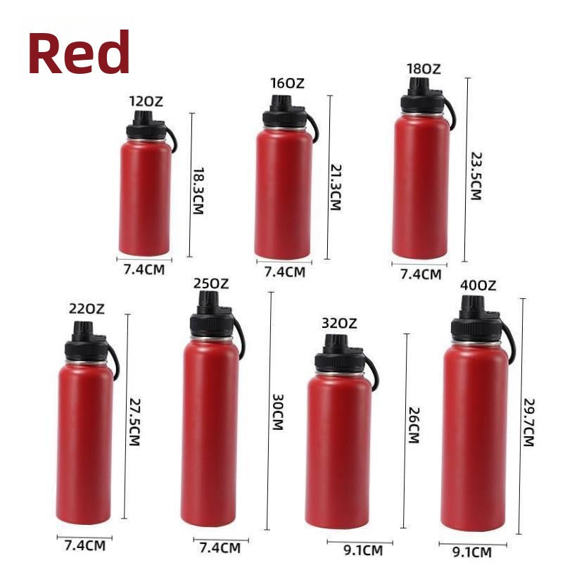 Insulated Stainless Steel Water Bottle with Straw